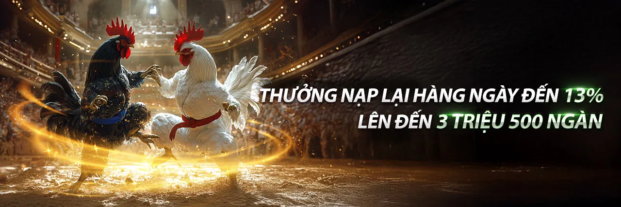 Đá gà trực tiếp 678 tại 678bet với không khí sôi động